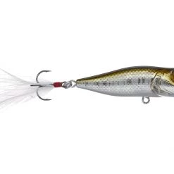 Megabass Pop X Topwater