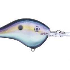 Big Rock Rapala DT08 Series Crankbaits