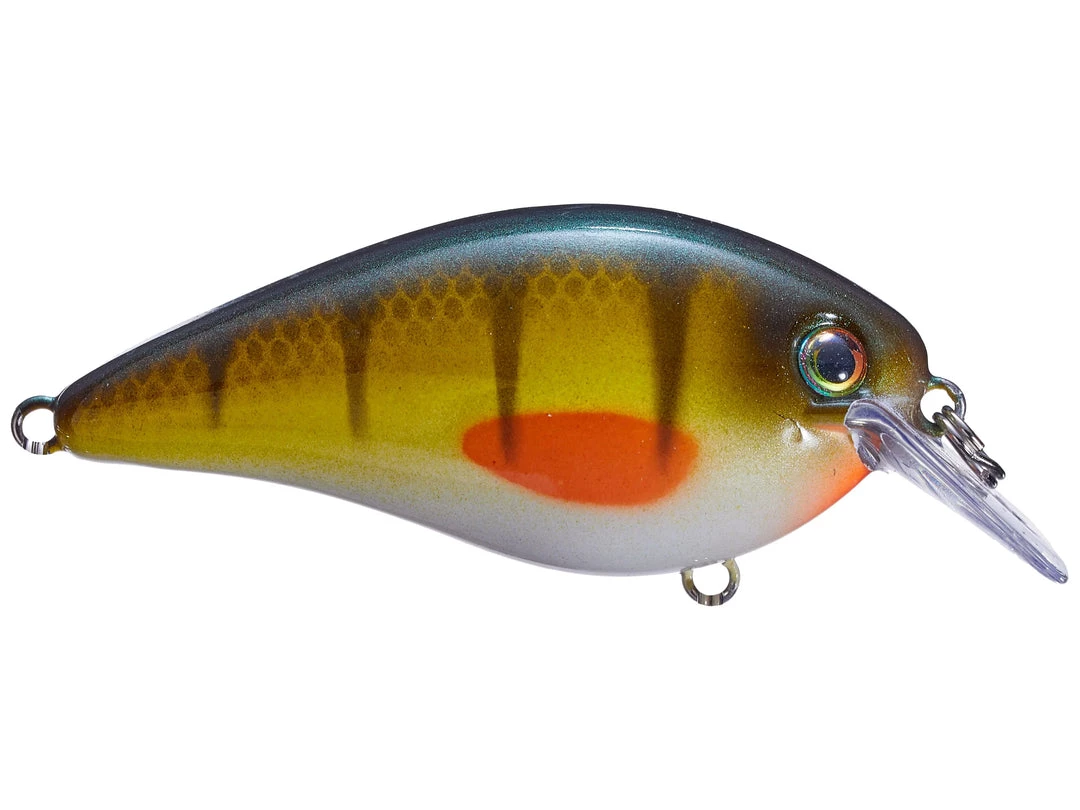 STRIKE KING LURE COMPANY, LLC Strike King KVD 2.5 HC Squarebill Silent Crankbait Crankbaits 5 STRIKE KING LURE COMPANY, LLC Strike King KVD 2.5 HC Squarebill Silent Crankbait Crankbaits