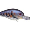 Gander Strike King KVD 1.5 Deep Diver Squarebill Crankbaits