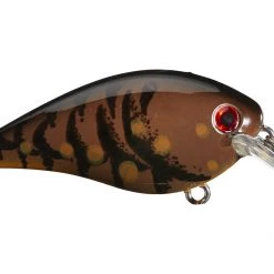 STRIKE KING LURE COMPANY, LLC Strike King KVD 1.5 HC Squarebill Silent Crankbait