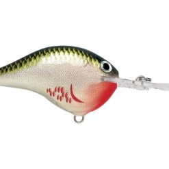 Big Rock Rapala DT08 Series Crankbaits