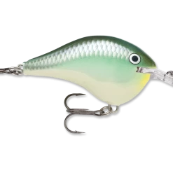 RAPALA USA Rapala DT06 Series Crankbaits