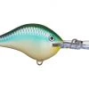 Big Rock Rapala DT10 Series Crankbaits