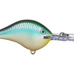Big Rock Rapala DT10 Series Crankbaits