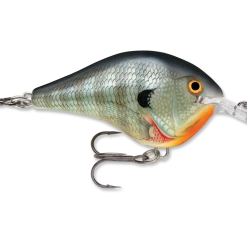 RAPALA USA Rapala DT06 Series Crankbaits