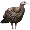 AVIAN-X TURKEY LCD DECOY SERIES