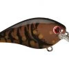 STRIKE KING LURE COMPANY, LLC Strike King KVD HC Squarebill Silent Crankbait 1.0