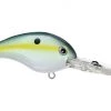 Big Rock Crankbaits Strike King 10XD Crankbait