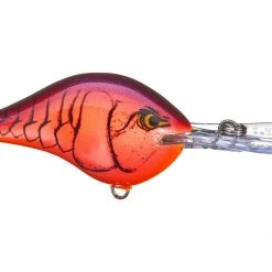 Big Rock Rapala DT10 Series Crankbaits