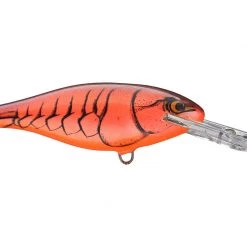 RAPALA USA Rapala Shad Rap SR07 Crankbaits