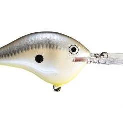 Big Rock Rapala DT08 Series Crankbaits