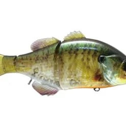 Pittman Creek Jackall Gantarel Swimbaits Swimbaits And Gliders