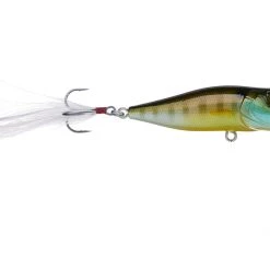 Megabass Pop X Topwater