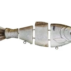 Mike Bucca Bull Shads And Bull Gills