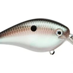 STRIKE KING LURE COMPANY, LLC Strike King KVD 2.5 HC Squarebill Silent Crankbait Crankbaits 19 STRIKE KING LURE COMPANY, LLC Strike King KVD 2.5 HC Squarebill Silent Crankbait Crankbaits