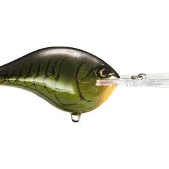 RAPALA USA Rapala DT06 Series Crankbaits
