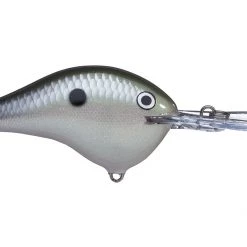 Big Rock Rapala DT10 Series Crankbaits