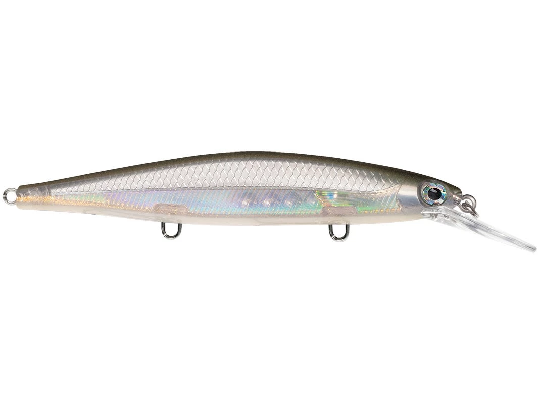 RAPALA USA Rapala Shadow Rap Deep Jerkbaits 6 RAPALA USA Rapala Shadow Rap Deep Jerkbaits