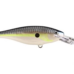 RAPALA USA Rapala Shad Rap SR05 Crankbaits 20 RAPALA USA Rapala Shad Rap SR05 Crankbaits