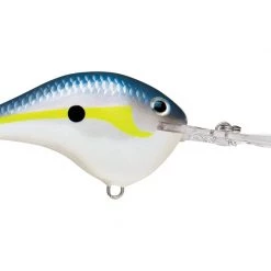 Big Rock Rapala DT10 Series Crankbaits