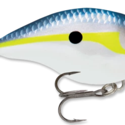 RAPALA USA Rapala DT04 Series Crankbaits