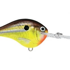 Big Rock Rapala DT10 Series Crankbaits