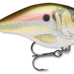 RAPALA USA Rapala DT04 Series Crankbaits