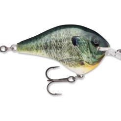 RAPALA USA Rapala DT06 Series Crankbaits