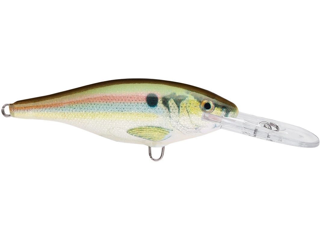 RAPALA USA Rapala Shad Rap SR05 Crankbaits 10 RAPALA USA Rapala Shad Rap SR05 Crankbaits