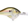 Big Rock Rapala DT08 Series Crankbaits
