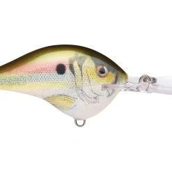 Big Rock Rapala DT08 Series Crankbaits