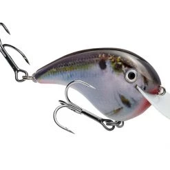 Pittman Creek Strike King Chick Magnet Flat Sided Crankbait