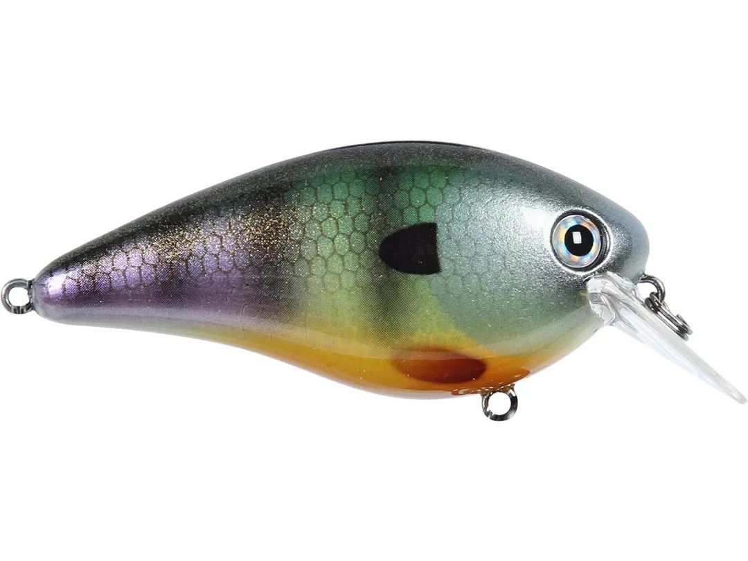 STRIKE KING LURE COMPANY, LLC Strike King KVD 2.5 HC Squarebill Silent Crankbait Crankbaits 11 STRIKE KING LURE COMPANY, LLC Strike King KVD 2.5 HC Squarebill Silent Crankbait Crankbaits
