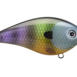 Gander Strike King KVD HC Shallow Squarebill 1.5 Crankbait
