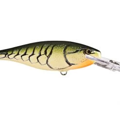 RAPALA USA Rapala Shad Rap SR07 Crankbaits