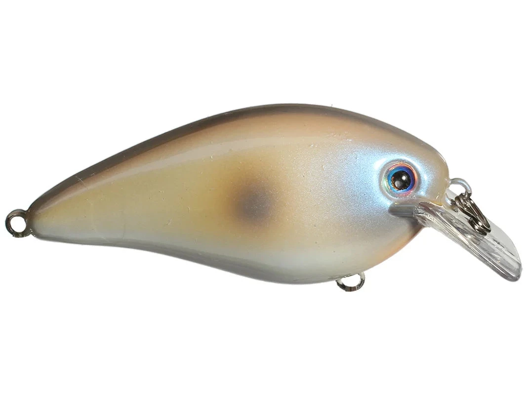 STRIKE KING LURE COMPANY, LLC Strike King KVD 2.5 HC Squarebill Silent Crankbait Crankbaits 12 STRIKE KING LURE COMPANY, LLC Strike King KVD 2.5 HC Squarebill Silent Crankbait Crankbaits
