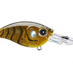 Crankbaits 6th Sense Curve 55 Crankbait
