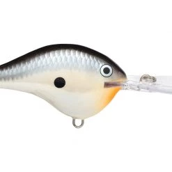 Big Rock Rapala DT08 Series Crankbaits