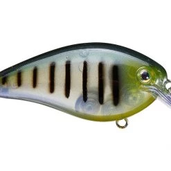 STRIKE KING LURE COMPANY, LLC Strike King KVD 1.5 HC Squarebill Silent Crankbait
