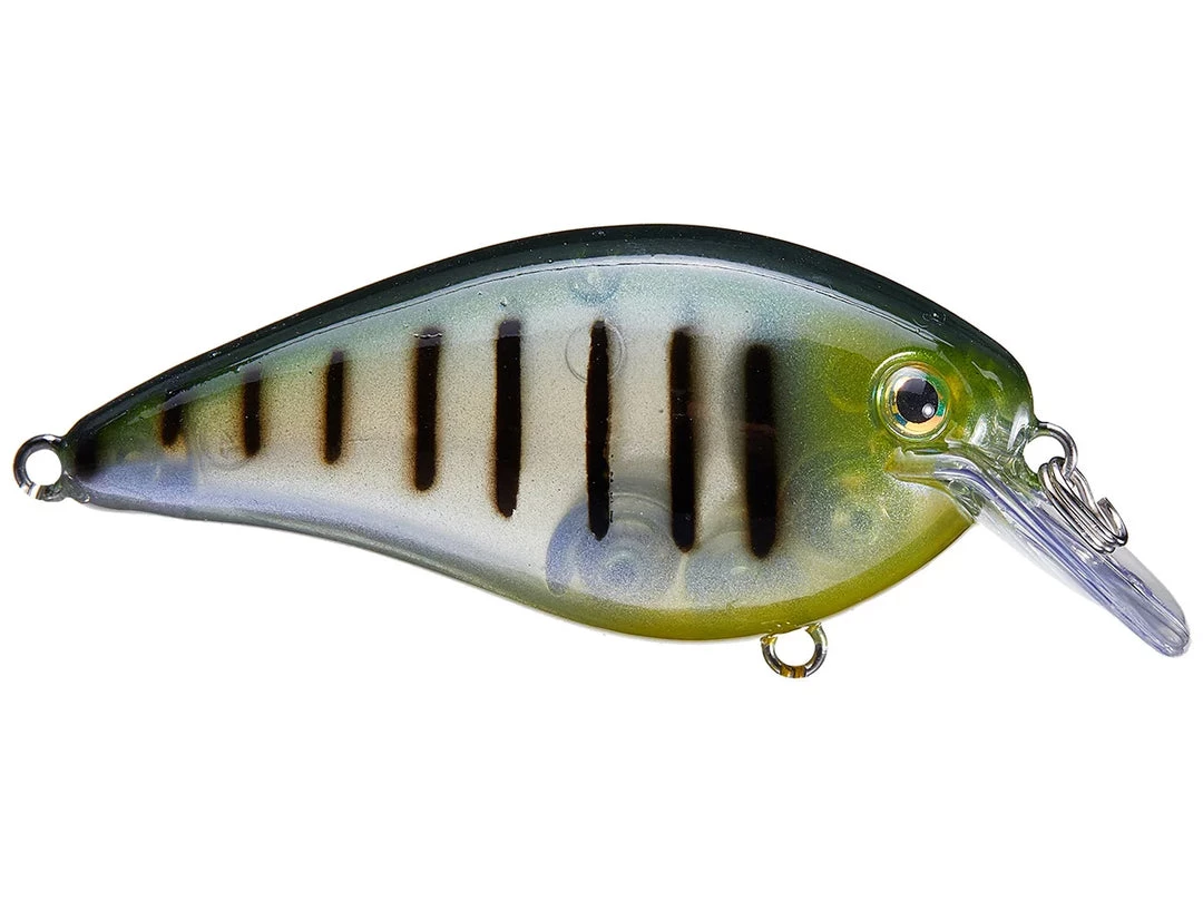 STRIKE KING LURE COMPANY, LLC Strike King KVD 2.5 HC Squarebill Silent Crankbait Crankbaits 6 STRIKE KING LURE COMPANY, LLC Strike King KVD 2.5 HC Squarebill Silent Crankbait Crankbaits