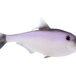 Swimbaits And Gliders 13 Fishing - Coalition Bait Co BAMF Shad Swimbait