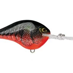 Big Rock Rapala DT10 Series Crankbaits