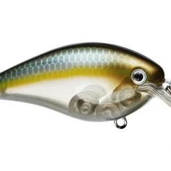 STRIKE KING LURE COMPANY, LLC Strike King KVD 1.5 HC Squarebill Silent Crankbait