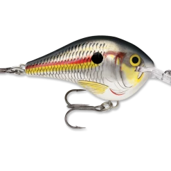 RAPALA USA Rapala DT06 Series Crankbaits