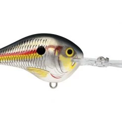 Big Rock Rapala DT10 Series Crankbaits