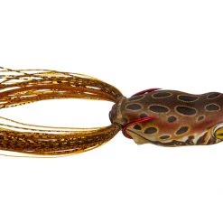 Scum Frog Launch Frog