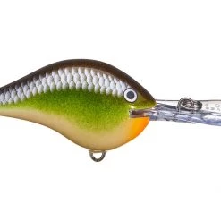 Big Rock Rapala DT10 Series Crankbaits