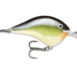 RAPALA USA Rapala DT06 Series Crankbaits