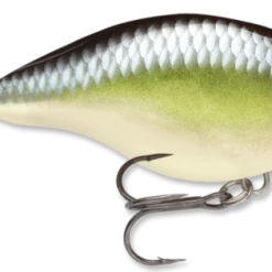 RAPALA USA Rapala DT04 Series Crankbaits